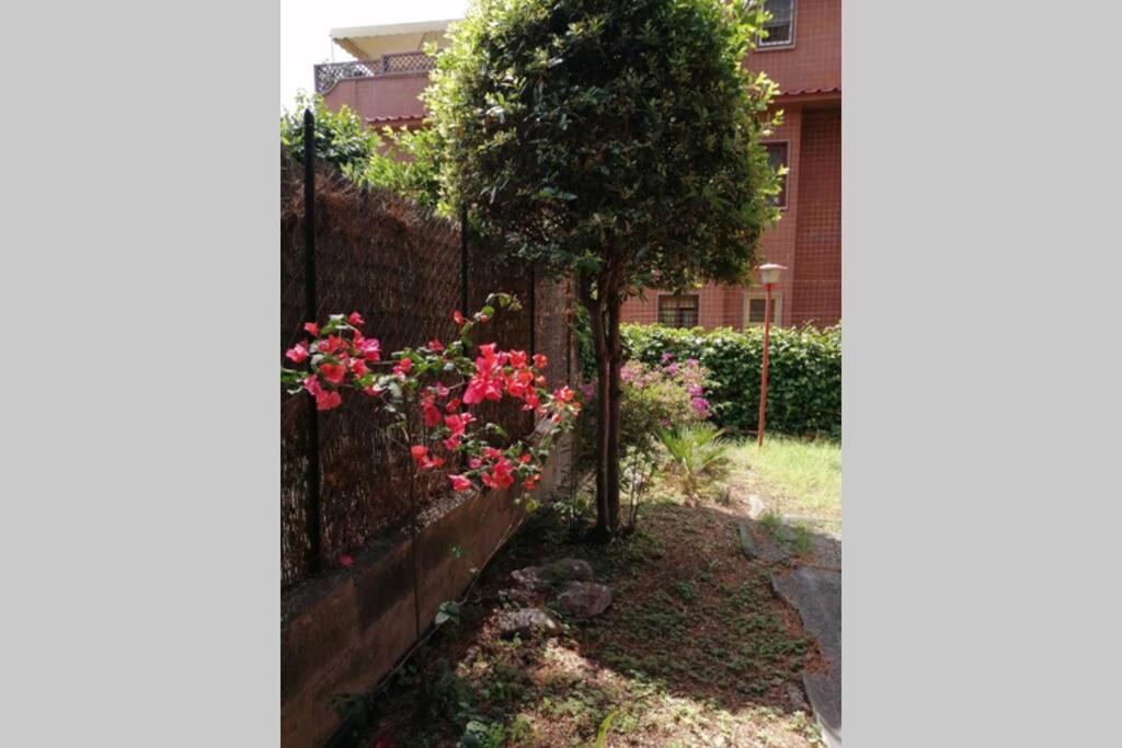 Appartement La Casa Della Mia Famiglia à Rome Extérieur photo